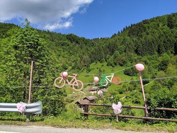 ItalyBike43.jpg