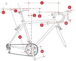 bikefit.jpg - large